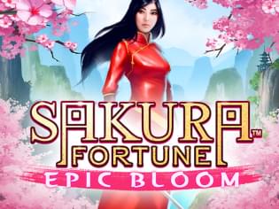 Sakura Fortune Epic Bloom